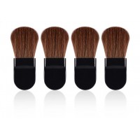 Fashion Design Plastic Blush Brush